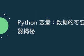 Python 变量：数据的可变容器揭秘