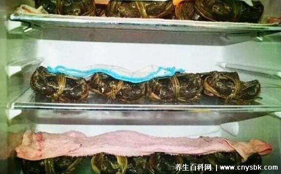 螃蟹死了多长时间以后不能吃，河蟹超2小时/海蟹超4小时都别吃-图4