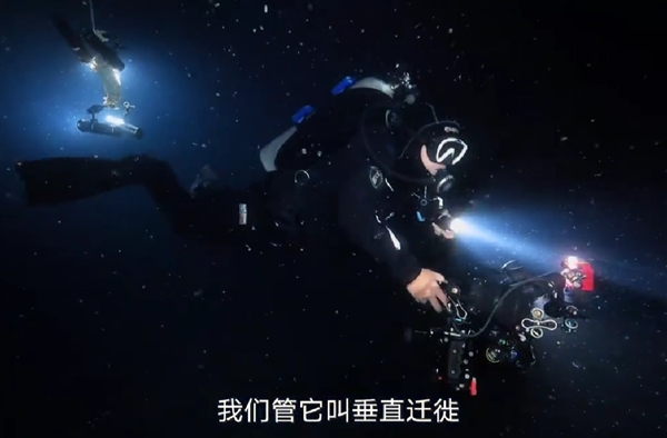 胡歌南海深潜：亲眼见证深海生物“垂直迁徙” 还捡回两块电池-图2