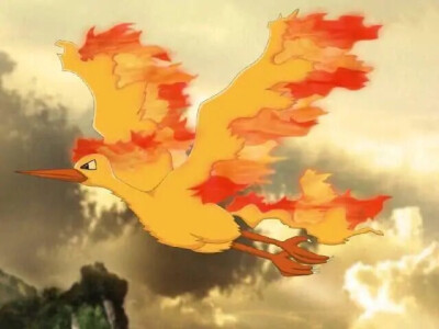 赤炎鸟：火焰力量与高速飞行，宝可梦界的双重威胁 -图2