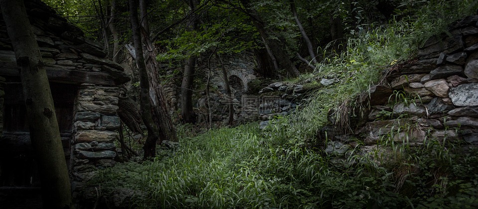 遗忘之地探险：废墟、神秘森林和迷宫洞穴的惊险之旅 -图5