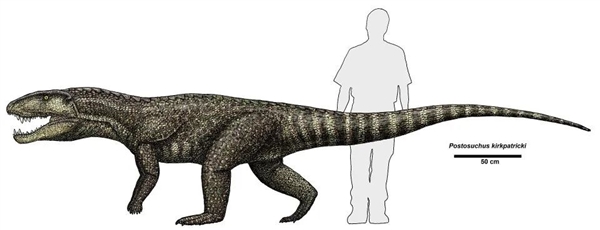 现代哺乳动物穿越到中生代 能否竞争过恐龙-图9