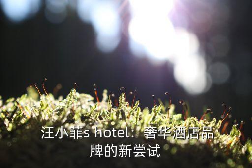 汪小菲s hotel,汪小菲出品，浪漫小镇酒店新品上市-图1