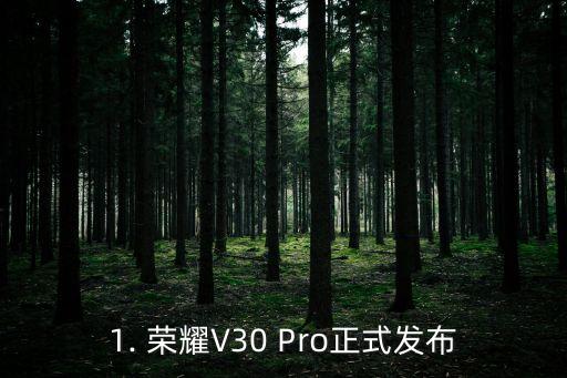 荣耀v30pro官方售价,荣耀V30 Pro正式发布：售价曝光-图1