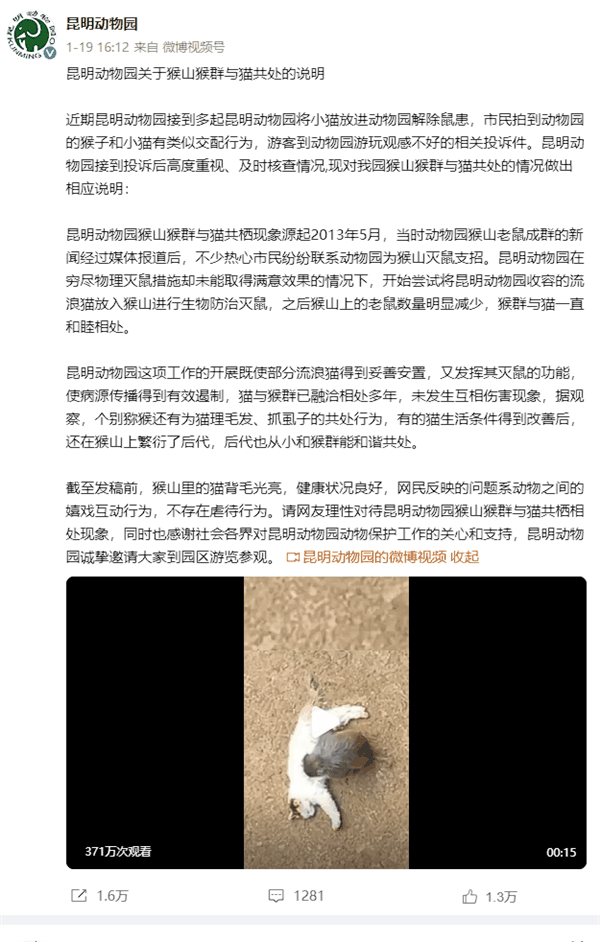 南京红山动物园为昆明动物园的猫发声：与猴混养肯定不合适-图3