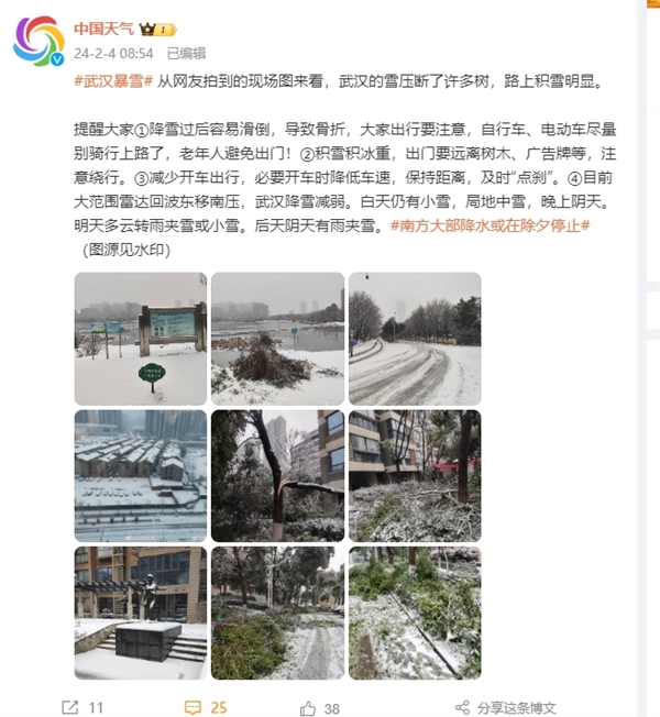 网友实拍暴雪冻雨压断树枝！武汉铁路：不要贸然前往火车站-图2