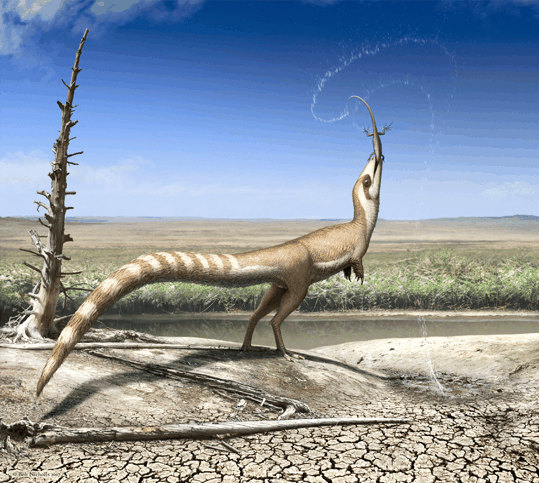 “龙”和“凤”能“合体” 长“鸟翼”的福建第一龙 弥补3000万年空白-图2