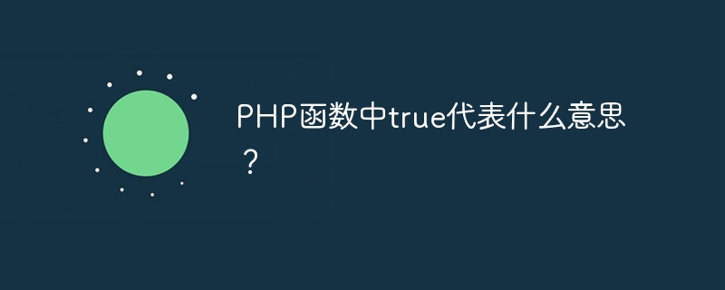 php函数中true代表什么意思？