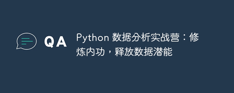 python 数据分析实战营：修炼内功，释放数据潜能