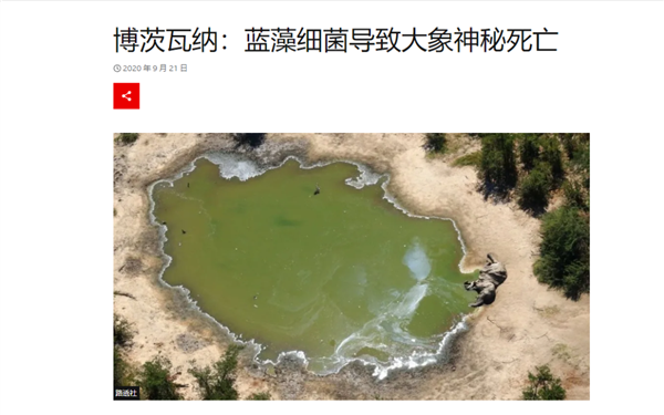 9人死亡78人住院 非洲人吃海龟集体中毒：知道中国人为啥不吃了吧