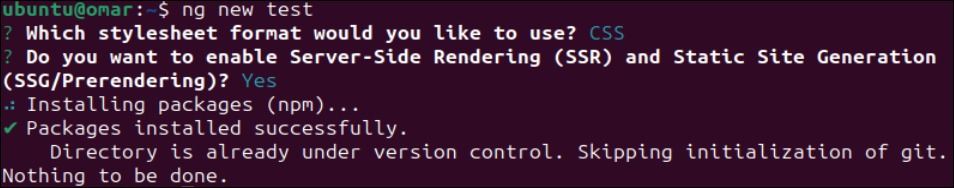 如何在Ubuntu 24.04上安装Angular