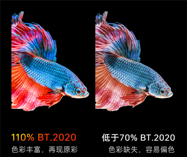 2024年4K投影仪性价比高的选择什么牌子 当贝X5 Pro目前最值得买