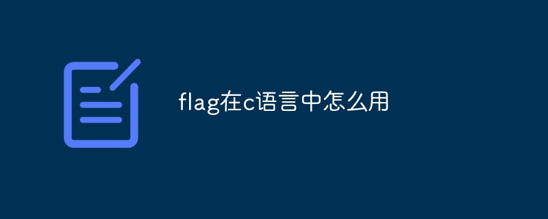 flag在c语言中怎么用