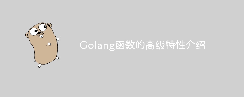 Golang函数的高级特性介绍