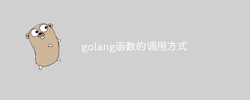 golang函数的调用方式