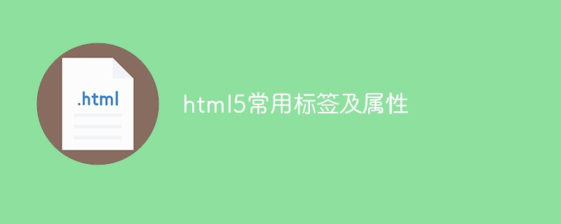 html5常用标签及属性