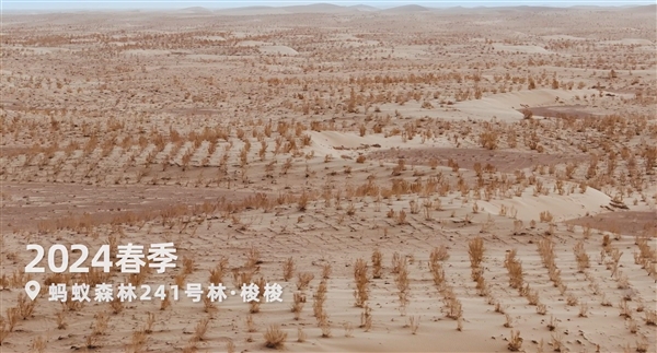 蚂蚁森林超9成树种在“三北”攻坚战核心区 再捐1亿元支持甘肃治沙
