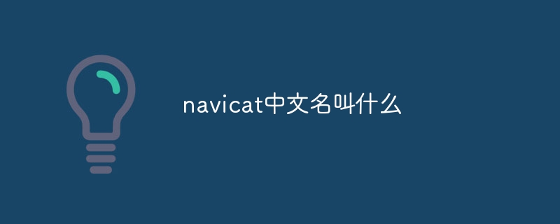 navicat中文名叫什么