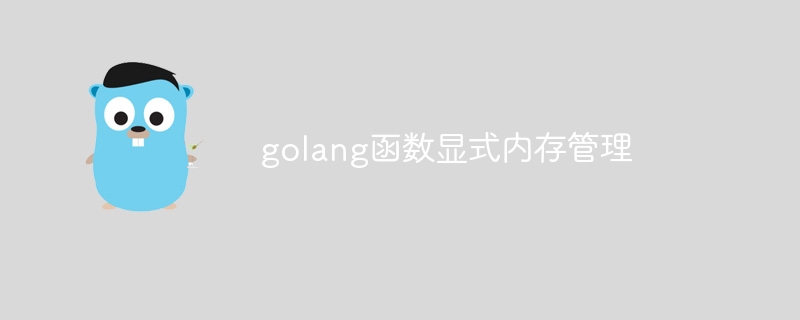 golang函数显式内存管理