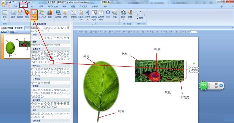 怎么使用PPT绘制树叶结构名称图解_PPT绘制树叶结构名称图解方法教程