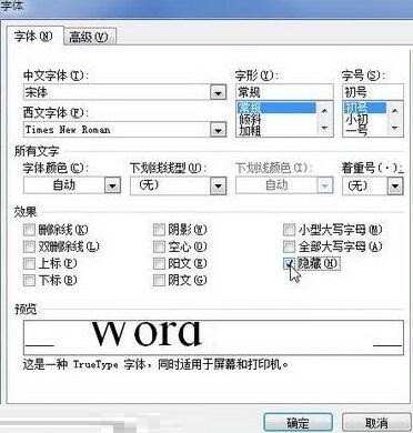 word2010文档中设置和显示隐藏文字的详细方法