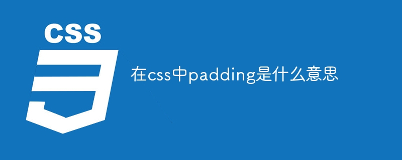 在css中padding是什么意思