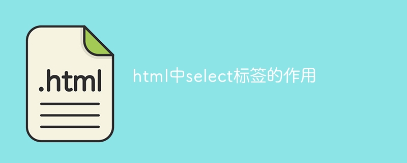 html中select标签的作用