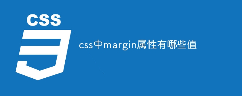 css中margin属性有哪些值