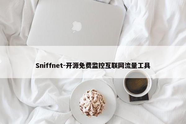 Sniffnet-开源免费监控互联网流量工具-图1